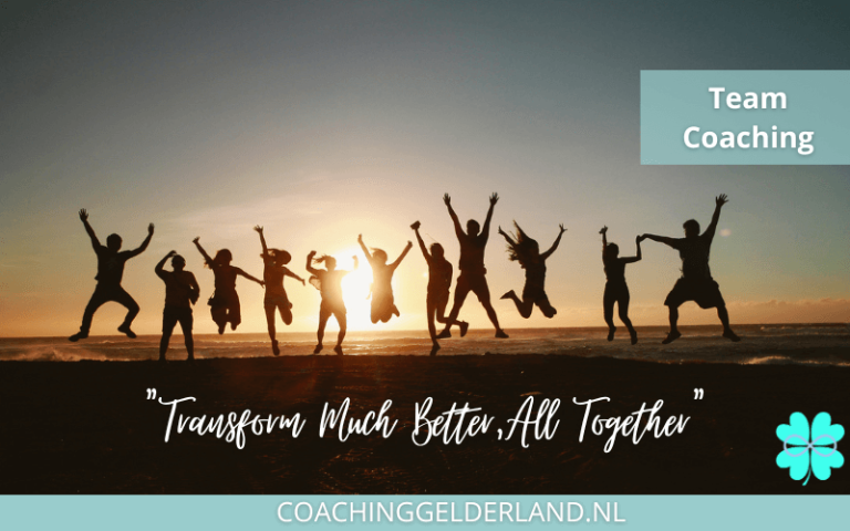 Coaching Gelderland 8x5-teamcoaching-arnhem-nijmegen-teamuitje-veluwe