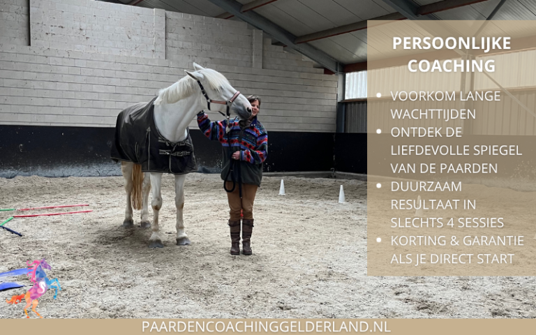 Paarden-coach-Gelderland-Nijmegen-Groesbeek-8x5-1
