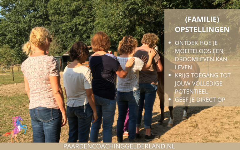 Paardencoach-Gelderland-Nijmegen-Groesbeek-8x5-1