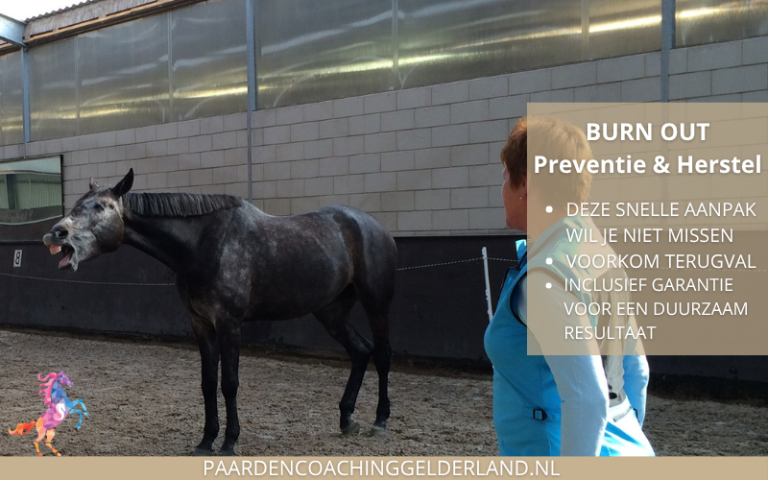 Paardencoaching-Gelderland-Nederland-gelderland-nijmegen-Teamcoaching-Leiderschap-training-7