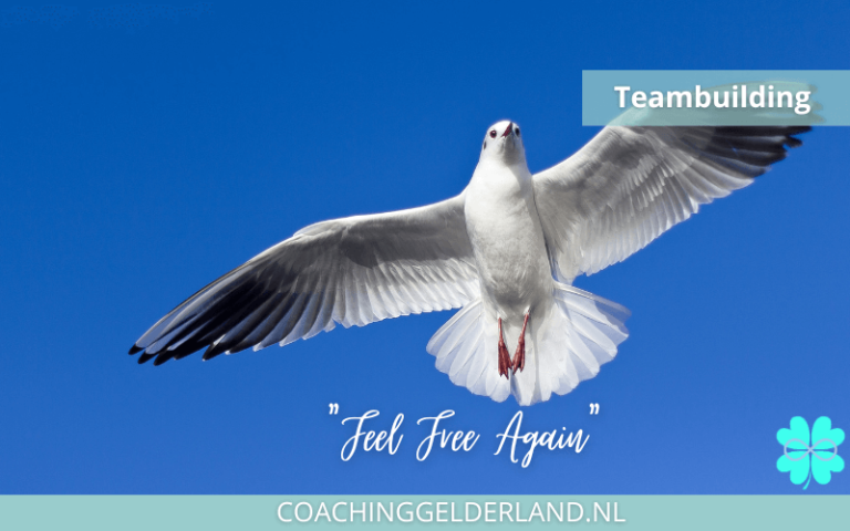 coachinggelderland-vrijheids-coach-nijmegen-systemisch