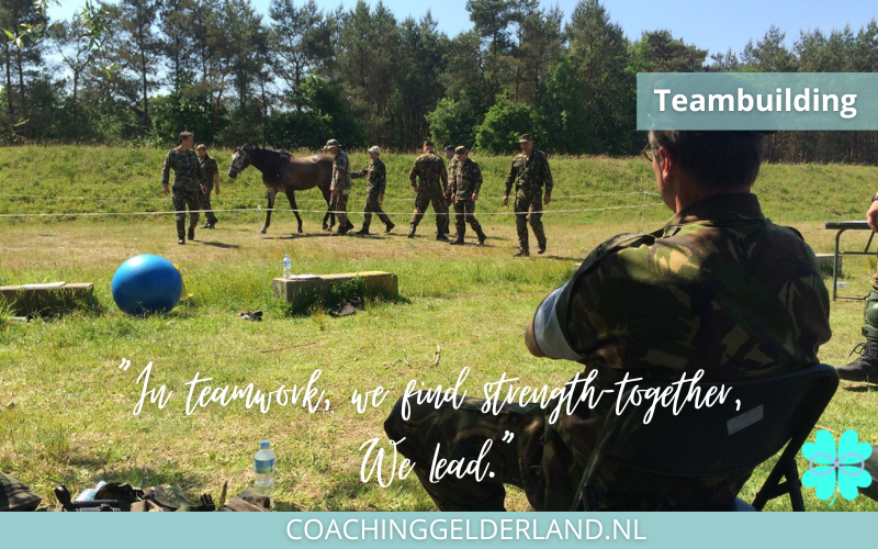 Teamcoaching en persoonlijke groei in Nijmegen, Arnhem en de Veluwe met systemische en holistische begeleiding voor teams en bedrijven.
